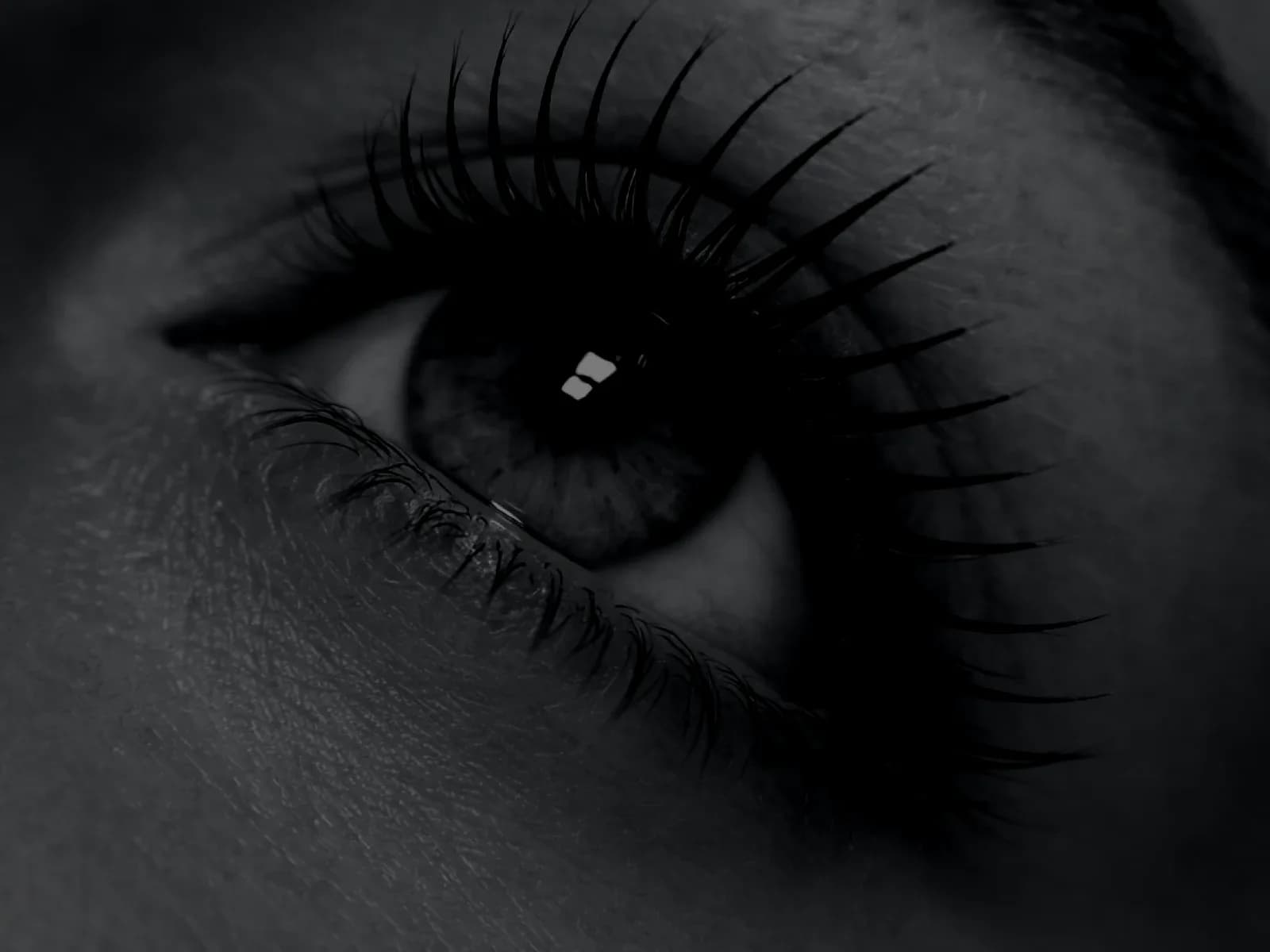 Risultato lash lift in estetica beauty nera e argento